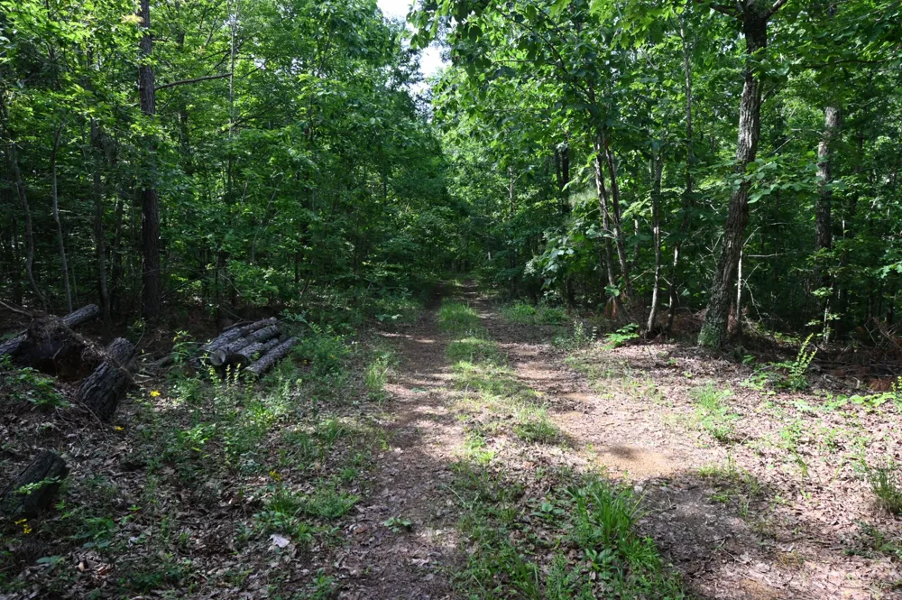 7170 Rockhouse Rd Linden, TN 37096