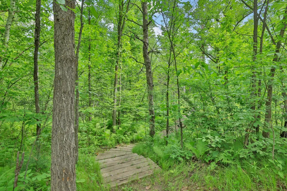 16167 Sunnyside Road Pine City, MN 55063