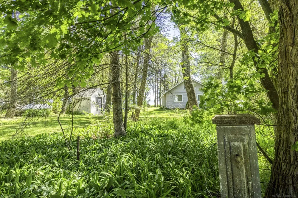 4300 Grandview Drive Forester Township, MI 48427