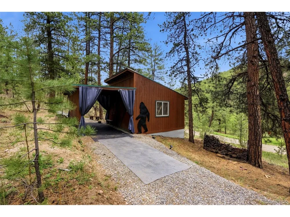 102 Insmont Drive Bailey, CO 80421