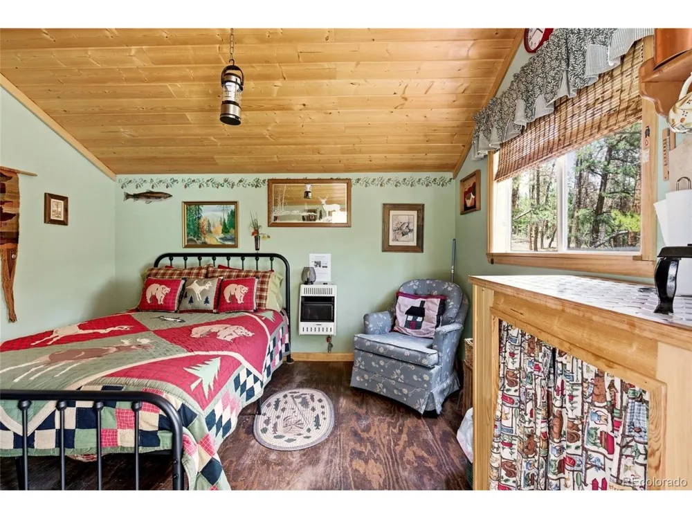 102 Insmont Drive Bailey, CO 80421