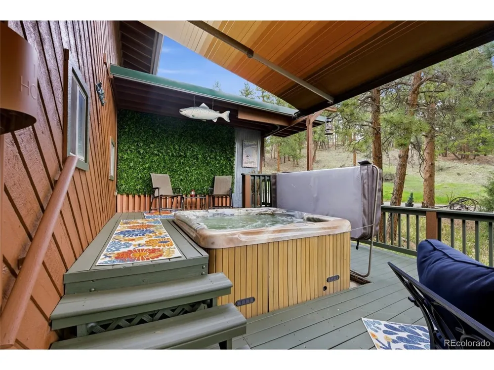 102 Insmont Drive Bailey, CO 80421