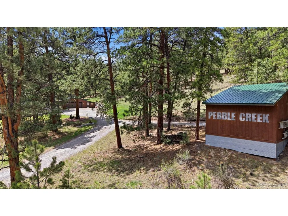 102 Insmont Drive Bailey, CO 80421