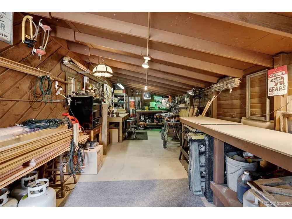 102 Insmont Drive Bailey, CO 80421