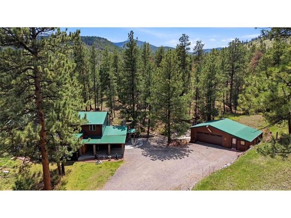102 Insmont Drive Bailey, CO 80421
