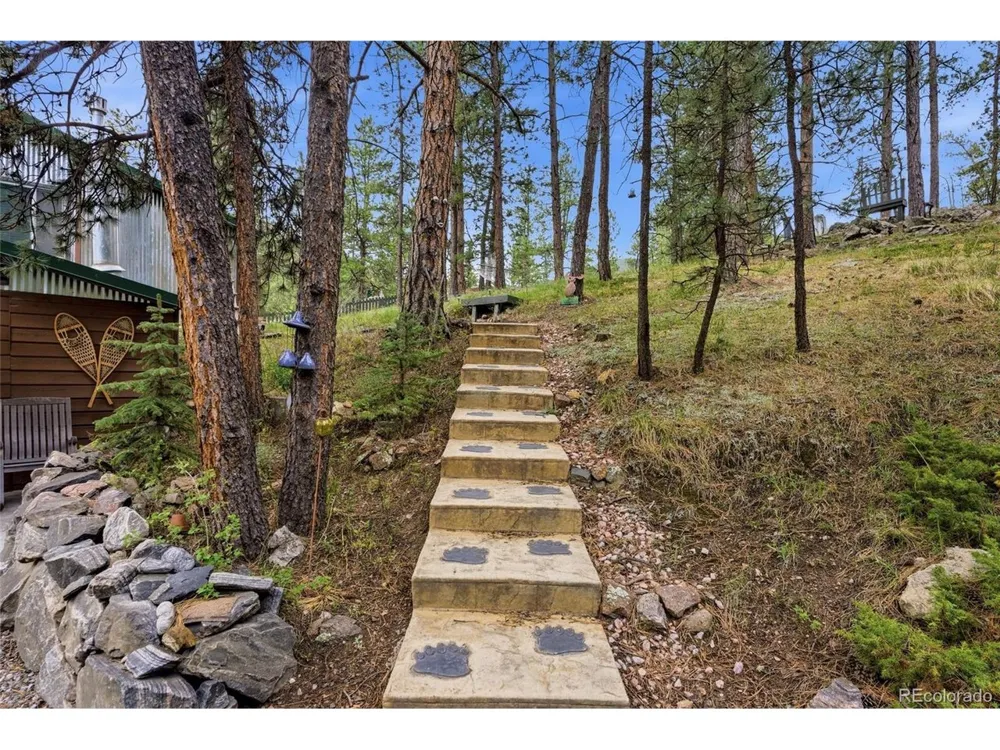 102 Insmont Drive Bailey, CO 80421
