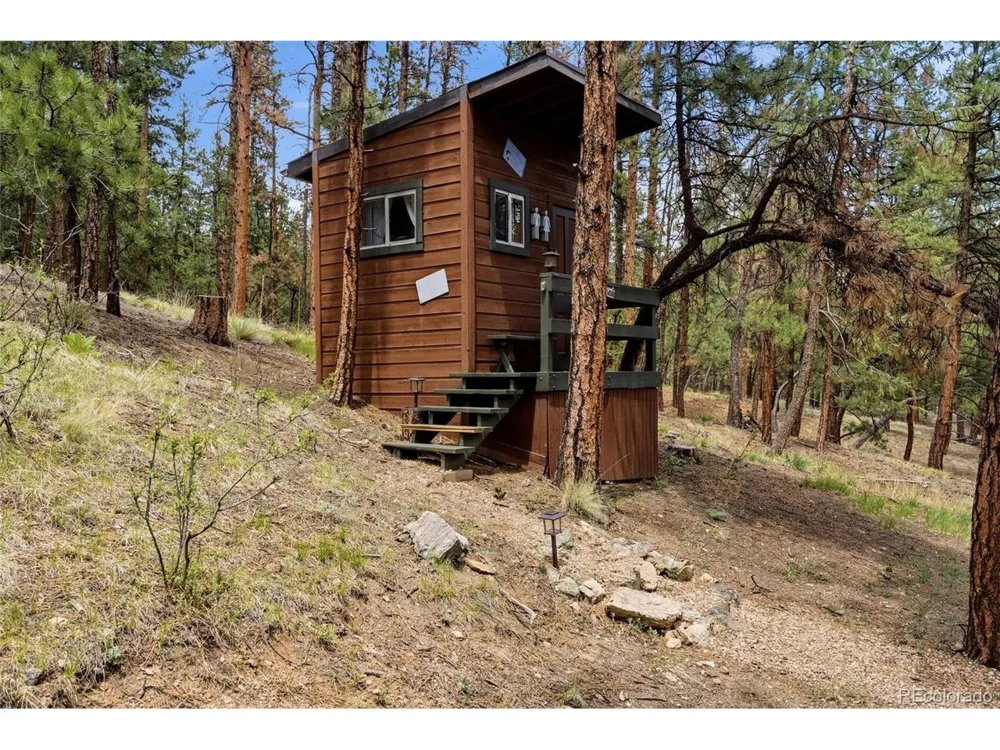 102 Insmont Drive Bailey, CO 80421