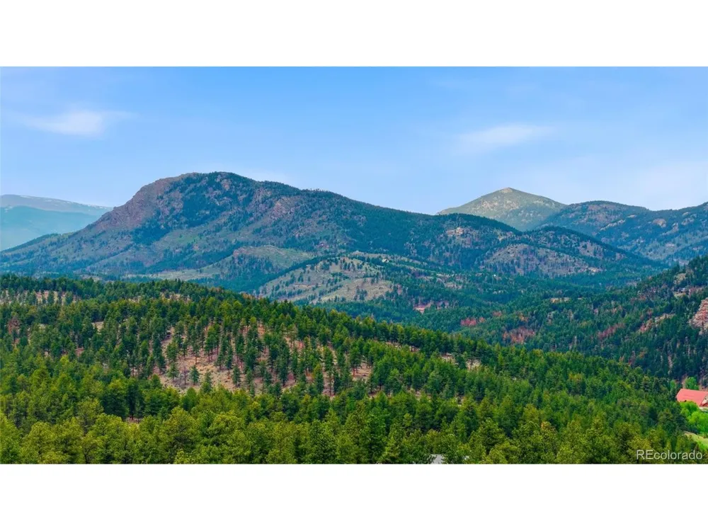 102 Insmont Drive Bailey, CO 80421