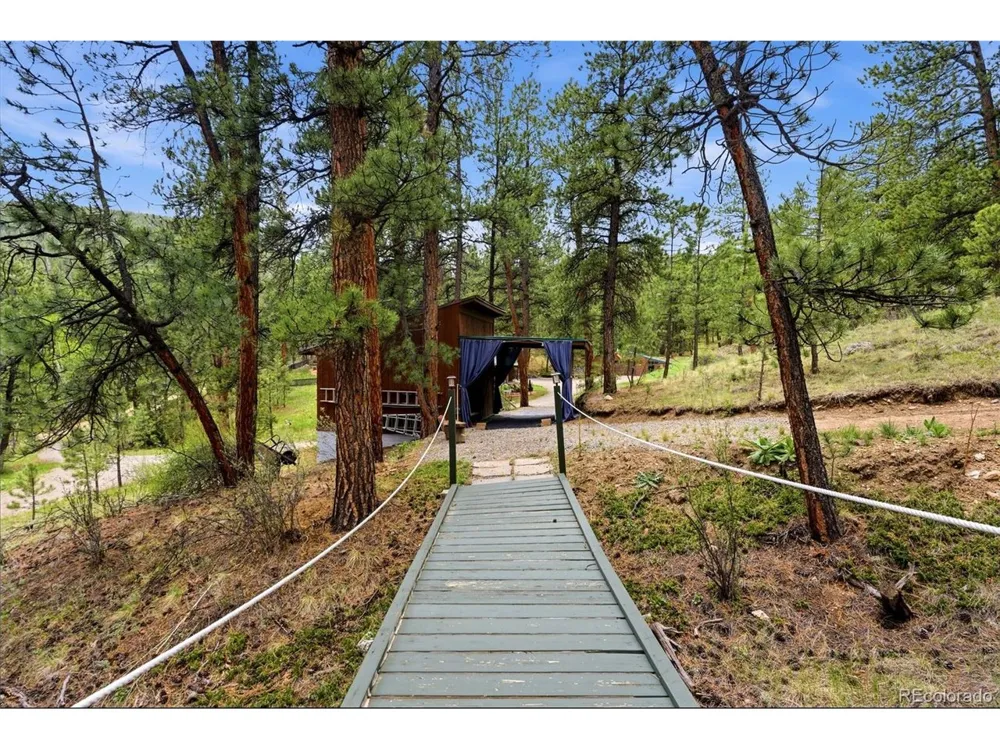 102 Insmont Drive Bailey, CO 80421