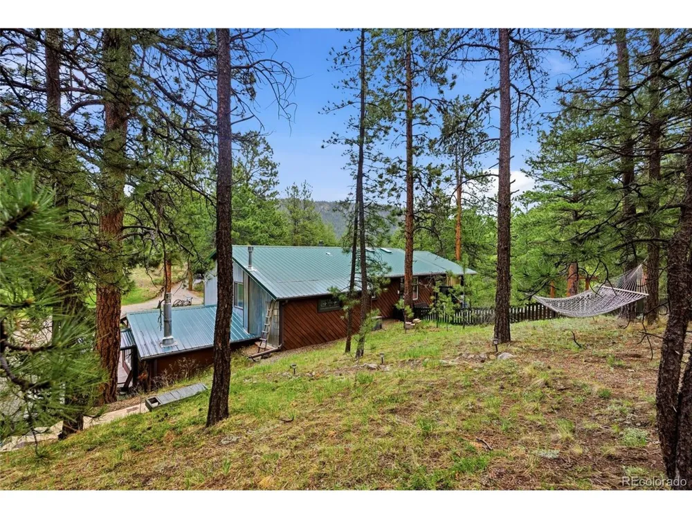 102 Insmont Drive Bailey, CO 80421