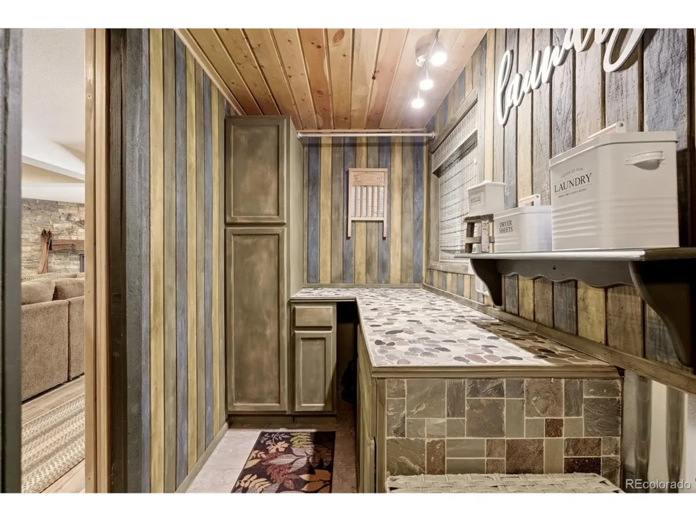 102 Insmont Drive Bailey, CO 80421