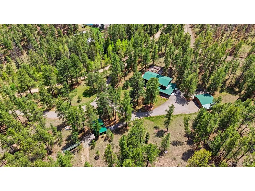 102 Insmont Drive Bailey, CO 80421
