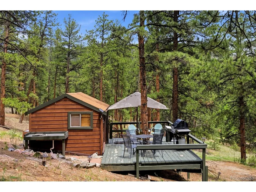 102 Insmont Drive Bailey, CO 80421