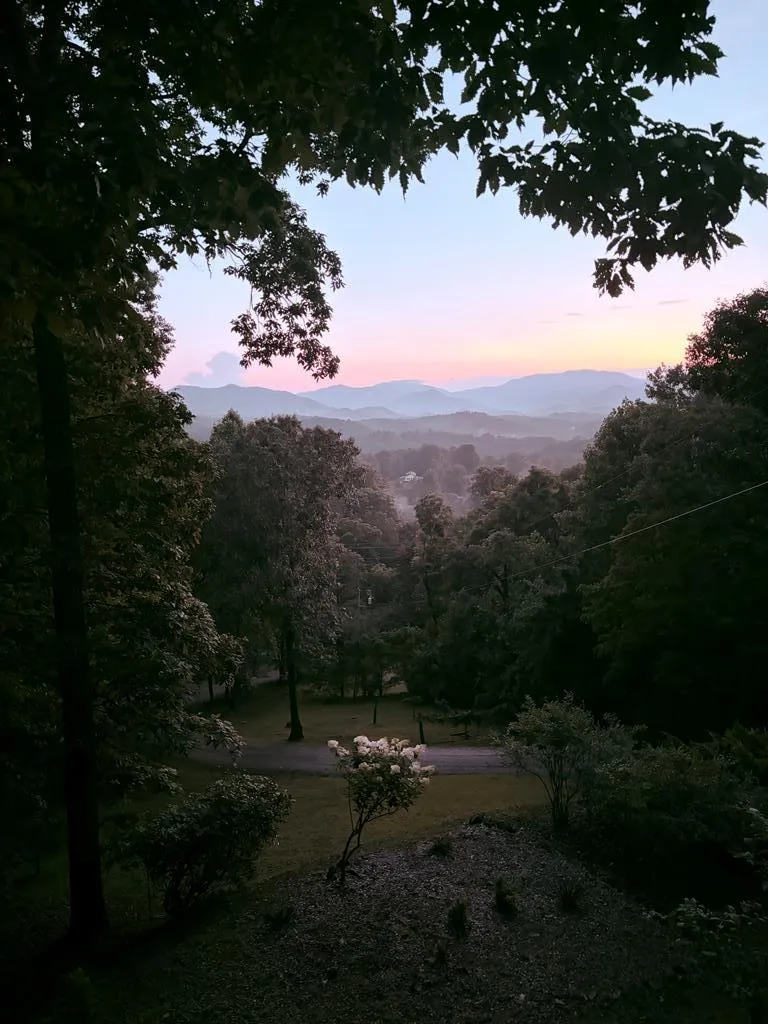 Dowdle Mountain Road Franklin, NC 28734
