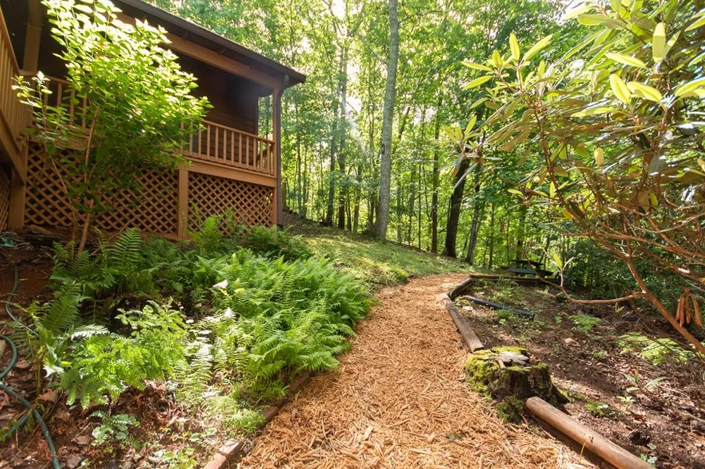 Dowdle Mountain Road Franklin, NC 28734