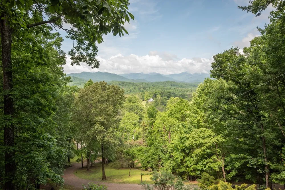 Dowdle Mountain Road Franklin, NC 28734