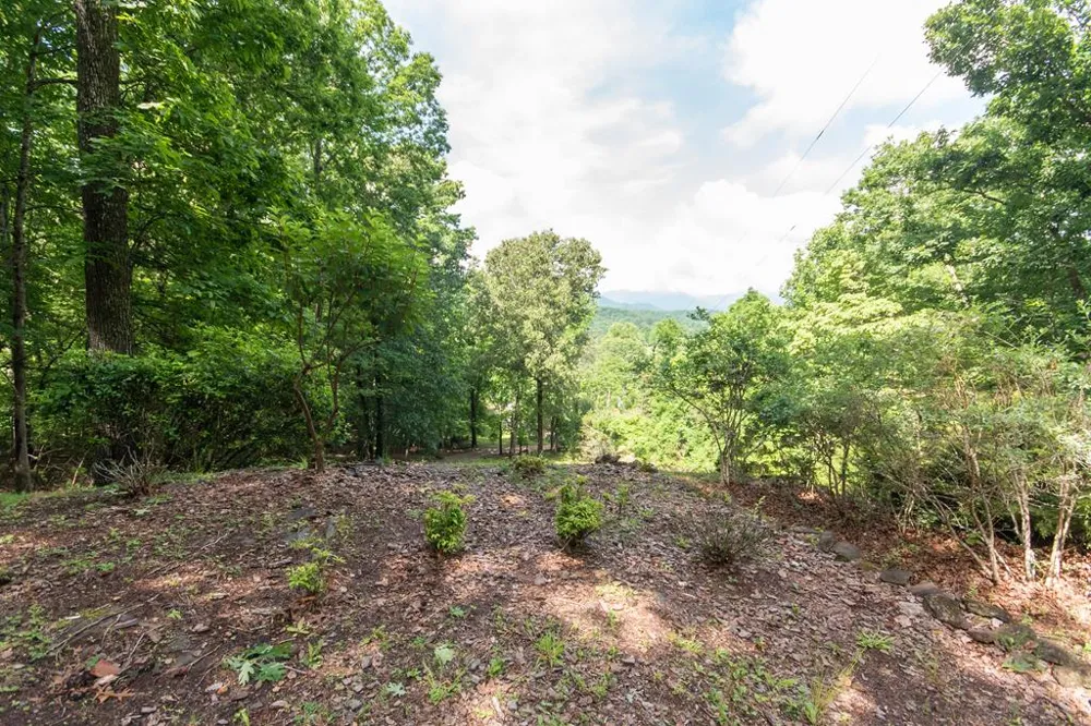 Dowdle Mountain Road Franklin, NC 28734