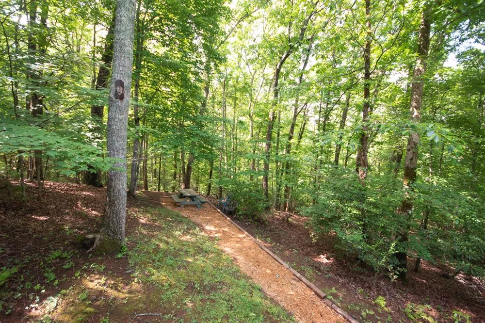 Dowdle Mountain Road Franklin, NC 28734