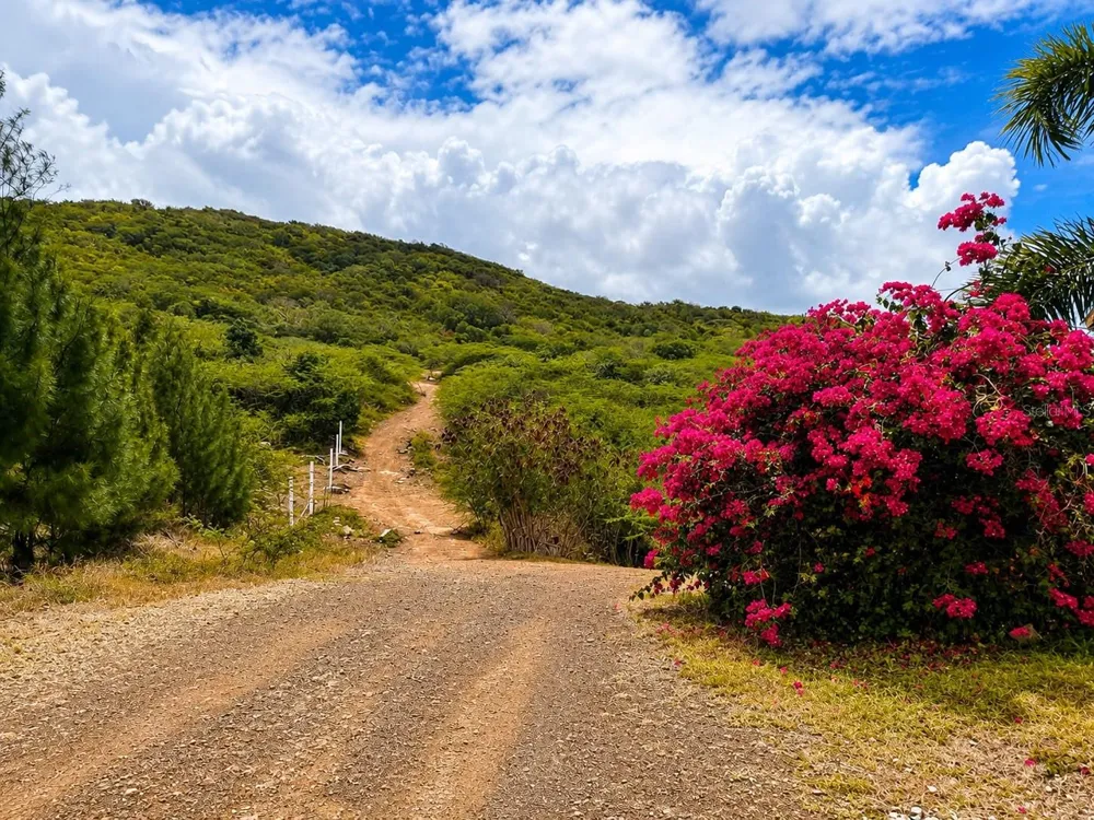 PR 250 KM 2.5 BO FLAMENCO Y SAN ISIDRO Culebra, PR 00775