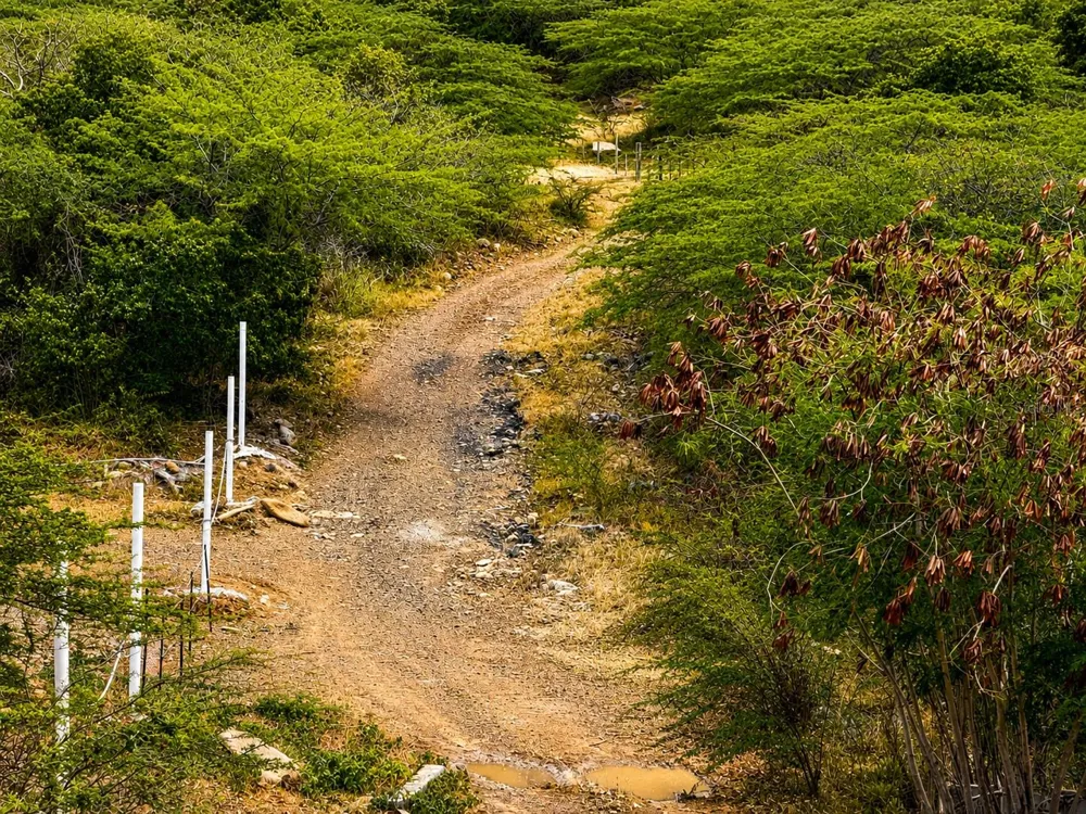PR 250 KM 2.5 BO FLAMENCO Y SAN ISIDRO Culebra, PR 00775