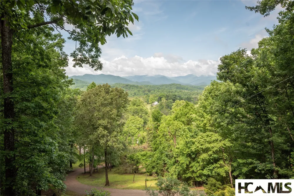 1424 Dowdle Mountain Road Franklin, NC 28734