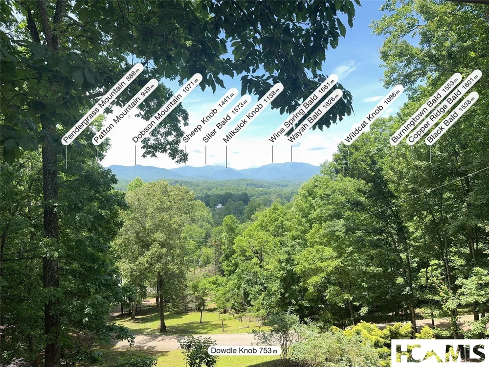 1424 Dowdle Mountain Road Franklin, NC 28734
