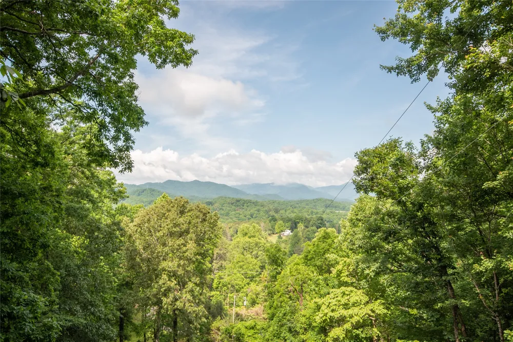 1424 Dowdle Mountain Road Franklin, NC 28734