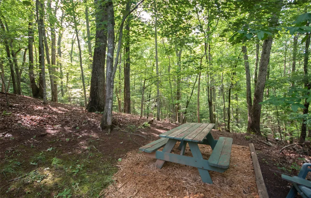 1424 Dowdle Mountain Road Franklin, NC 28734