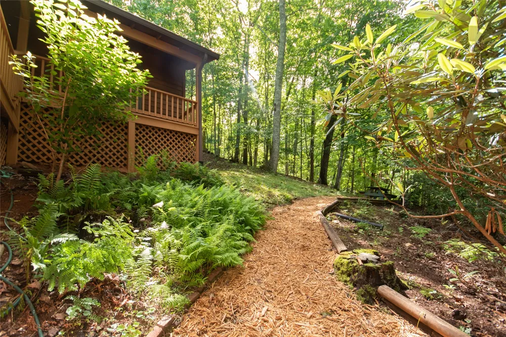 1424 Dowdle Mountain Road Franklin, NC 28734