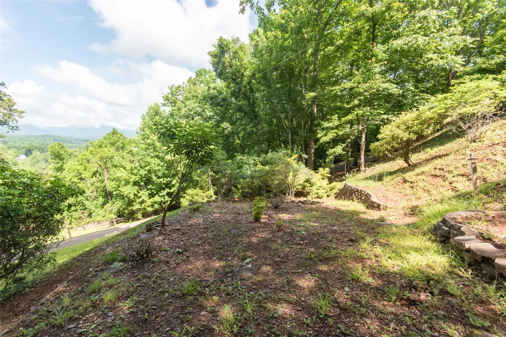 1424 Dowdle Mountain Road Franklin, NC 28734