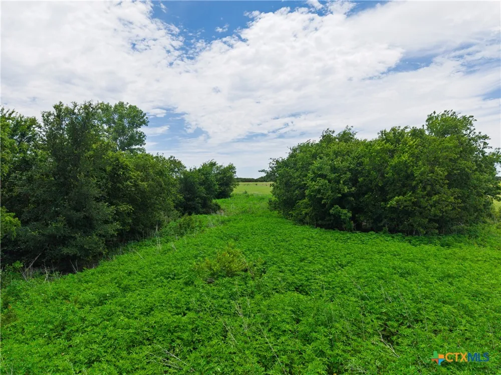 CR 425 Hamilton, TX 76531