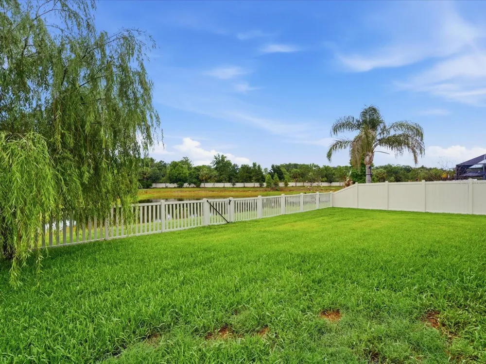 17735 BRIGHT WHEAT DRIVE Lithia, FL 33547