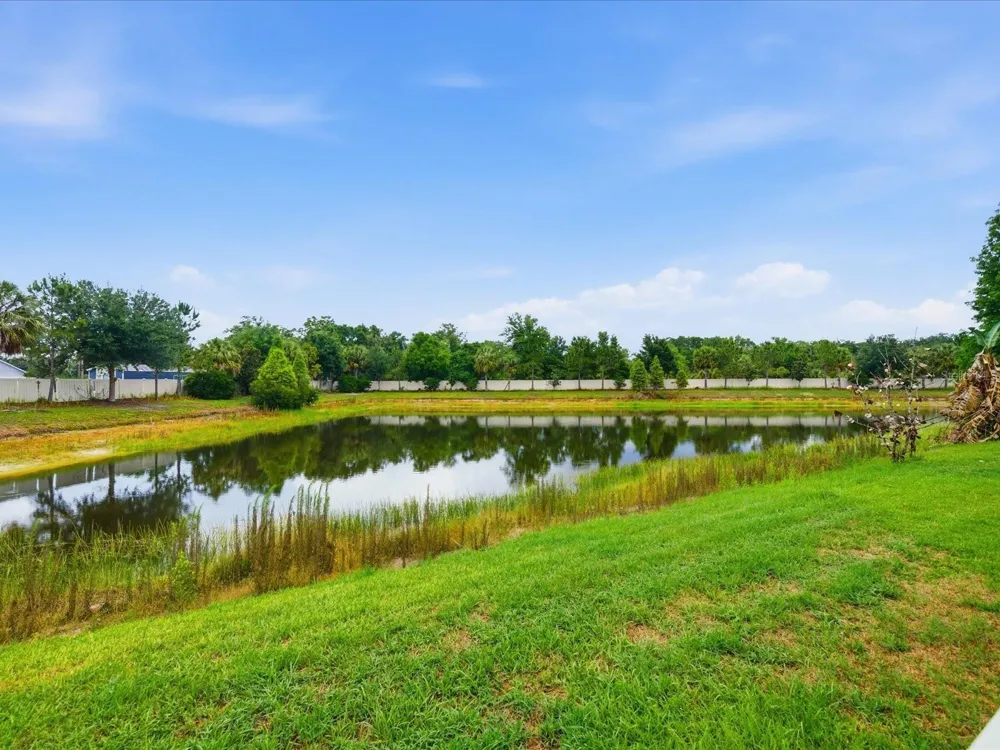17735 BRIGHT WHEAT DRIVE Lithia, FL 33547