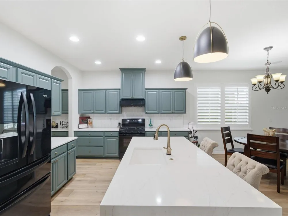 17735 BRIGHT WHEAT DRIVE Lithia, FL 33547