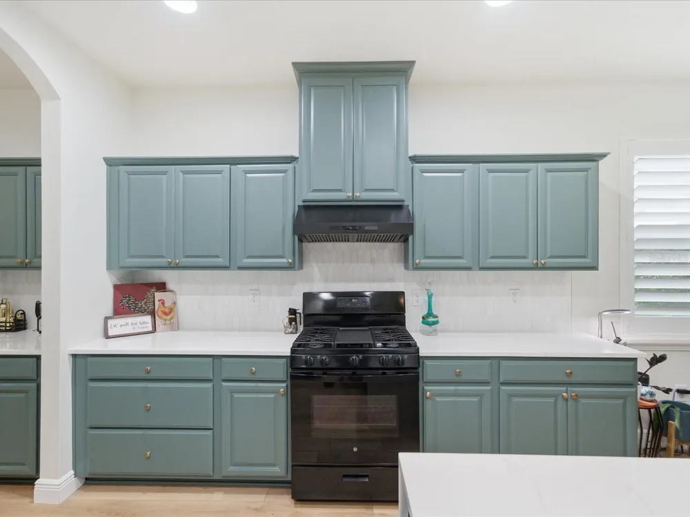 17735 BRIGHT WHEAT DRIVE Lithia, FL 33547