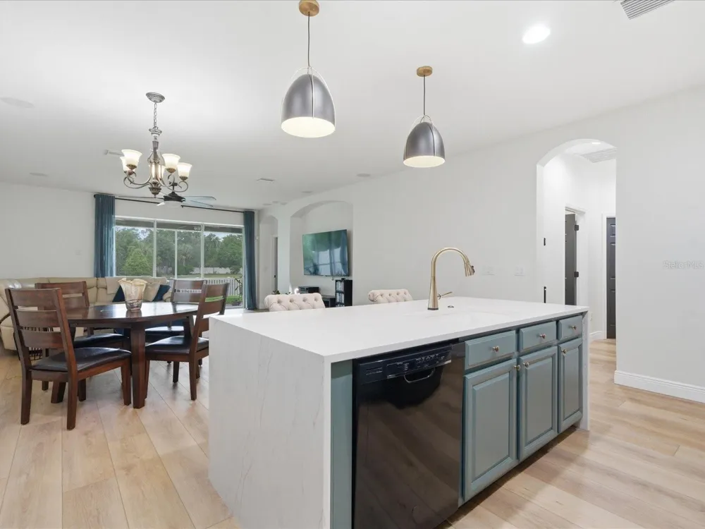 17735 BRIGHT WHEAT DRIVE Lithia, FL 33547