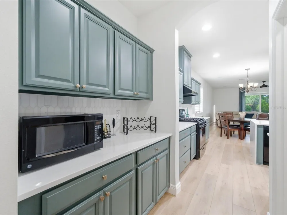 17735 BRIGHT WHEAT DRIVE Lithia, FL 33547