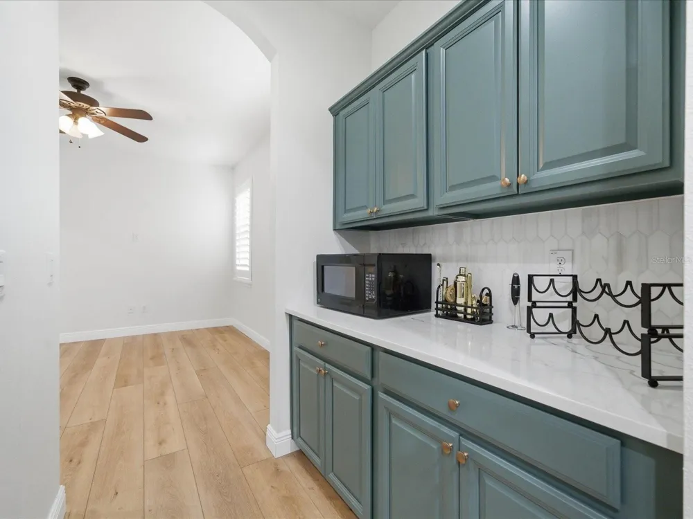 17735 BRIGHT WHEAT DRIVE Lithia, FL 33547