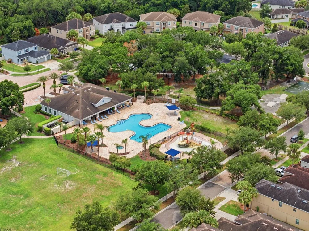 17735 BRIGHT WHEAT DRIVE Lithia, FL 33547