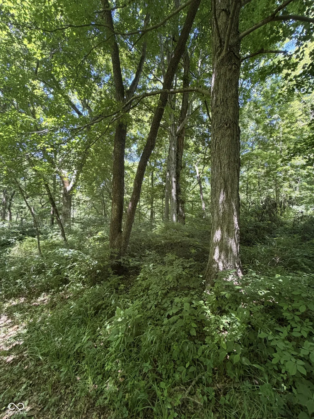 938 W 425 S Rockville, IN 47872