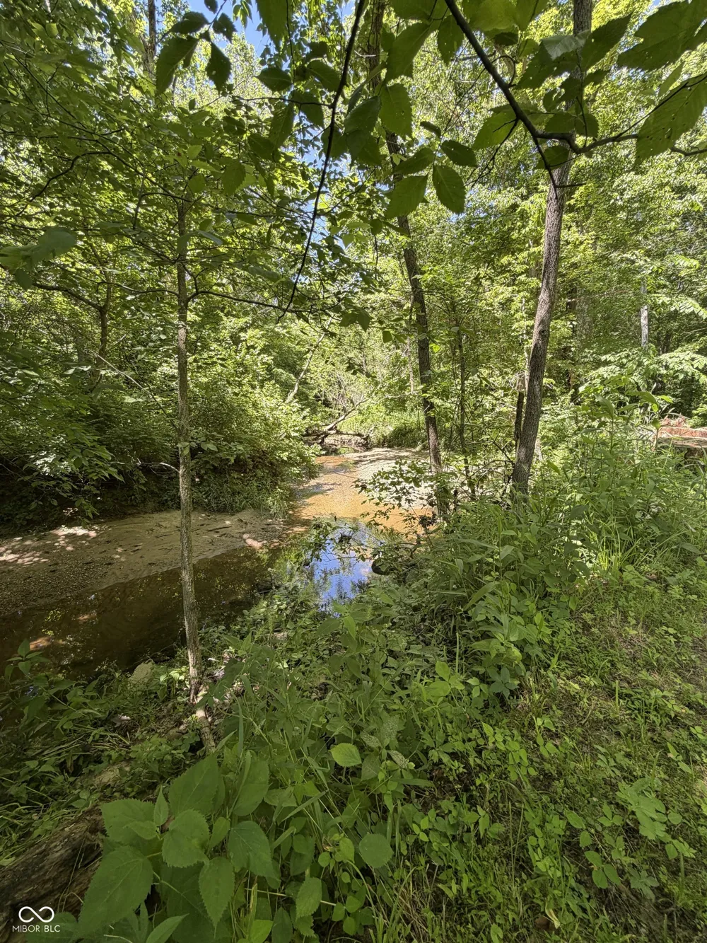938 W 425 S Rockville, IN 47872