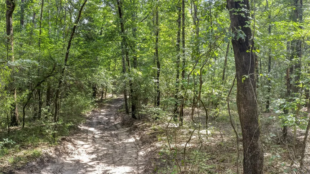 540 County Road 4677 Kennard, TX 75847