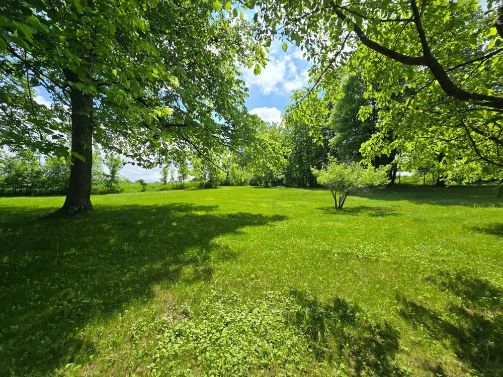 321 E Scharf Avenue Vergas, MN 56587