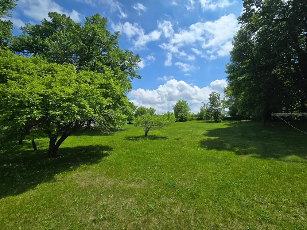 321 E Scharf Avenue Vergas, MN 56587