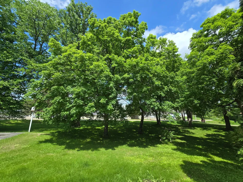 321 E Scharf Avenue Vergas, MN 56587