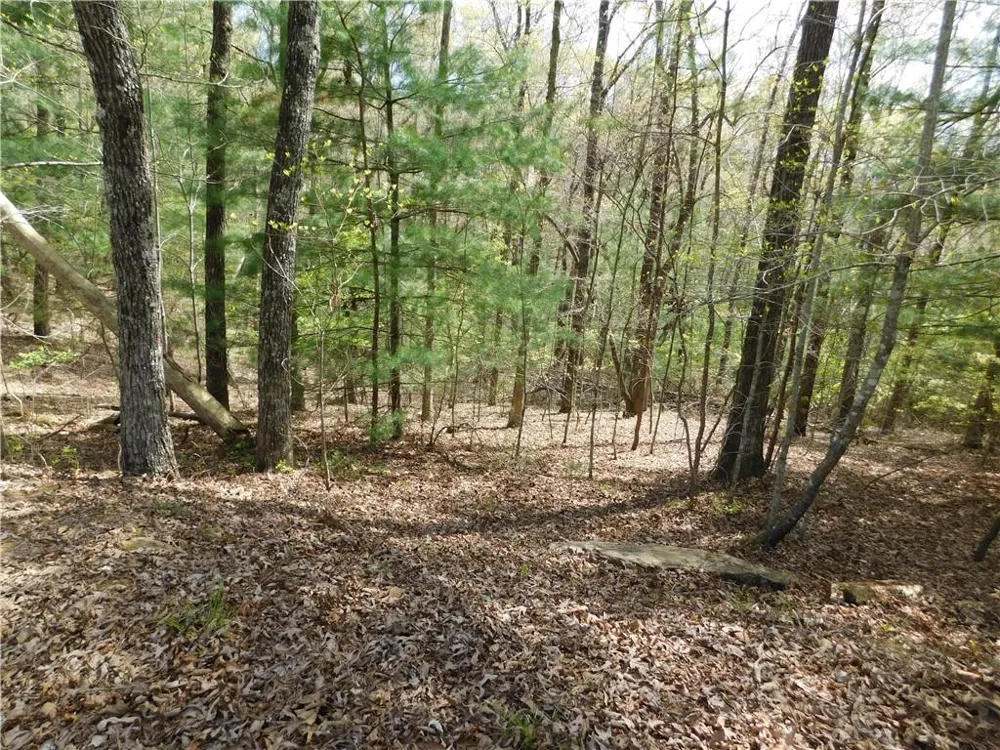 0 Dallas Lane Blue Ridge, GA 30513