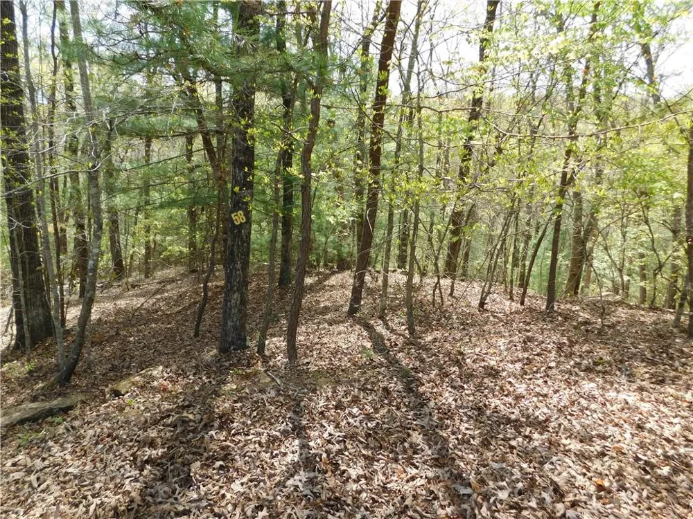 0 Dallas Lane Blue Ridge, GA 30513
