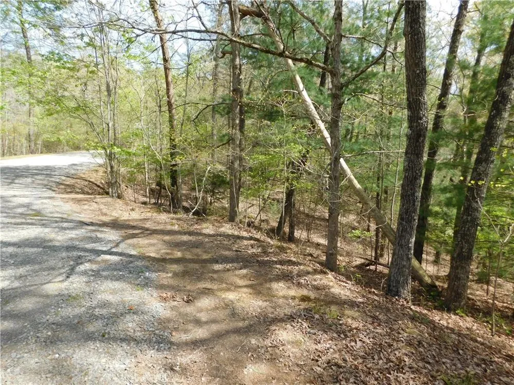0 Dallas Lane Blue Ridge, GA 30513
