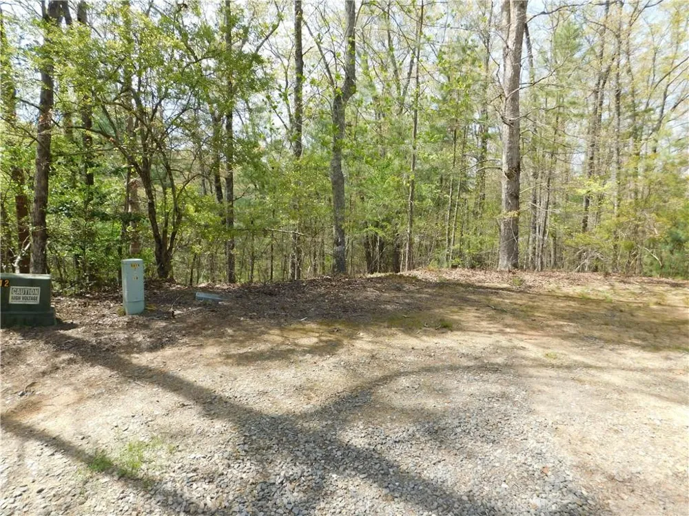 0 Dallas Lane Blue Ridge, GA 30513