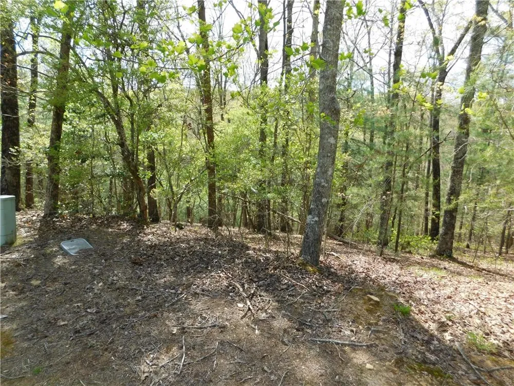 0 Dallas Lane Blue Ridge, GA 30513